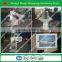 Factory hot selling coal and charcoal ball packing machinery with CE ISO