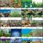 waterproof plastic aquarium background