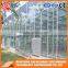 Agriculture hollow tempered glass greenhouse hot galvanized steel frame