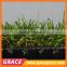 Natural Grass Garden Landscaping/ decking Synthetic Grass
