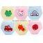 Embroidery Animal Design Cloth Diapers Baby Training Pants 4 Layers Waterproof M5042401