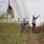 bird trapping net eco-friendly feature bird mist net 2x15m110D/2ply