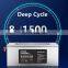 Deep cycle 12v lifepo4 lithium ion battery 12v 100ah with bms for solar systems