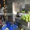 Automatic Coconut Papaya Pomelo Pineapple Honey Melon Large Taro Skin Peeling Machine