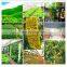 Manufacturer High Quality Wholesale Price Flies Fruit Trap China Kill Fruit Flies+ Killer Insect for Insect Control Use 2 Years