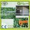 okra processing machine frozen vegetables production line