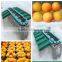 According to diameter apple fruit sorting machine