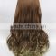 High Quality 65cm Medium Long Wave Blond&Green Mixed Lolita Synthetic Anime Wig Party Wig