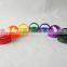 Fruit Infuser Water Bottle Tritan Material