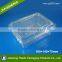 Bento Box Clear Plastic Disposable Pet Fruit Container