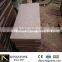 High quality chinese red granite (Direct Factory Good Price )