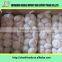 factory supply pure white garlic powder/fresh red garlic/wholesale garlics