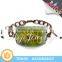 Unique Real Scorpion Insect Specimen Embedded Acrylic Bracelets