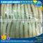 Frozen illex squid tube u10