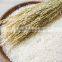 Suvimie White Raw Rice
