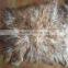 Fashion Long Hair Tibet Lamb Plate Fur Goat Fur Kidassia Fur Plate