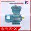 Explosion Proof Electric AC Motor for Coalmine Machine