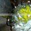 hand blown glass wall decoration XO-20150630&Murano glass chandelier from famous Chinese glass artist Mr Ou