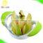 Amazon hot sale fruit and vegetable slicing set carving tools 4pcs set