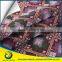 China Manufacturer Low price high quality latest sofa fabric