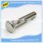 Professional factory OEM metal self tapping screw