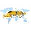 OEM Custom Die-cut Sticker Paper Label, Adhesive Sticker