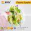 Food Use and Plastic PET Material take away salad box fruit bowl with lid