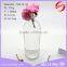 Set of glass aroma diffuser bottle