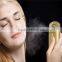 High Quality Wellcore golden color facial Nano Sprayer/infrared face lift beauty machine