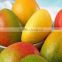 Good Quality Fresh Mangoes