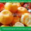 Citrus fruits fresh mandarin orange