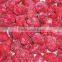 Chinese Frozen Strawberry