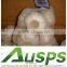 china fresh good quality natural garlic wholesale price