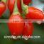 Xiniang Goji Berry Juice Concentrate Brix 36