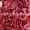 New crop dry red whole chilli exporter
