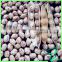 Round Type Speckled Kidney Beans China Dry Cranberry Heilongjiang