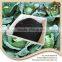 Next-Generation Free Sample for Branch Chain 100% Natural Green leonardite based fulvic