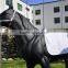 Saddle Pad for All Purpose