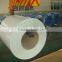 Color coated steel coil/prepainted steel coil/Ction volume