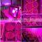 2017 led grow light cob full spectrum 100 watt led grow light floodlight
