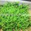 High quality 50mm artificial sport grass turf