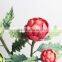 Natural Plastic Dragon Fruit Plant Decorative Fruit Plant for Decoration