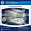 Best Selling Superior Quality Indian Mackerel Available at Reliable Price