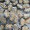 Japanese food supplier frozen delicious fresh whole boiled clam for sale