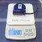 Double Color Stop Function ABS Clear Tape Measure