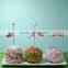 Candy Lollypop Wooden Stick