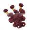 Shengyuan Prompt Delivery Best 7A Human Hair Weave Colored 99J 10 To 24 Inch Body Wave