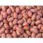 Groundnut kernels