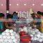 Nautral white laundry felt dryer ball in high quality and best price