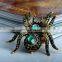 Fashion New Arrival Punk Style Rhinestone Spider Alloy Finger Ring